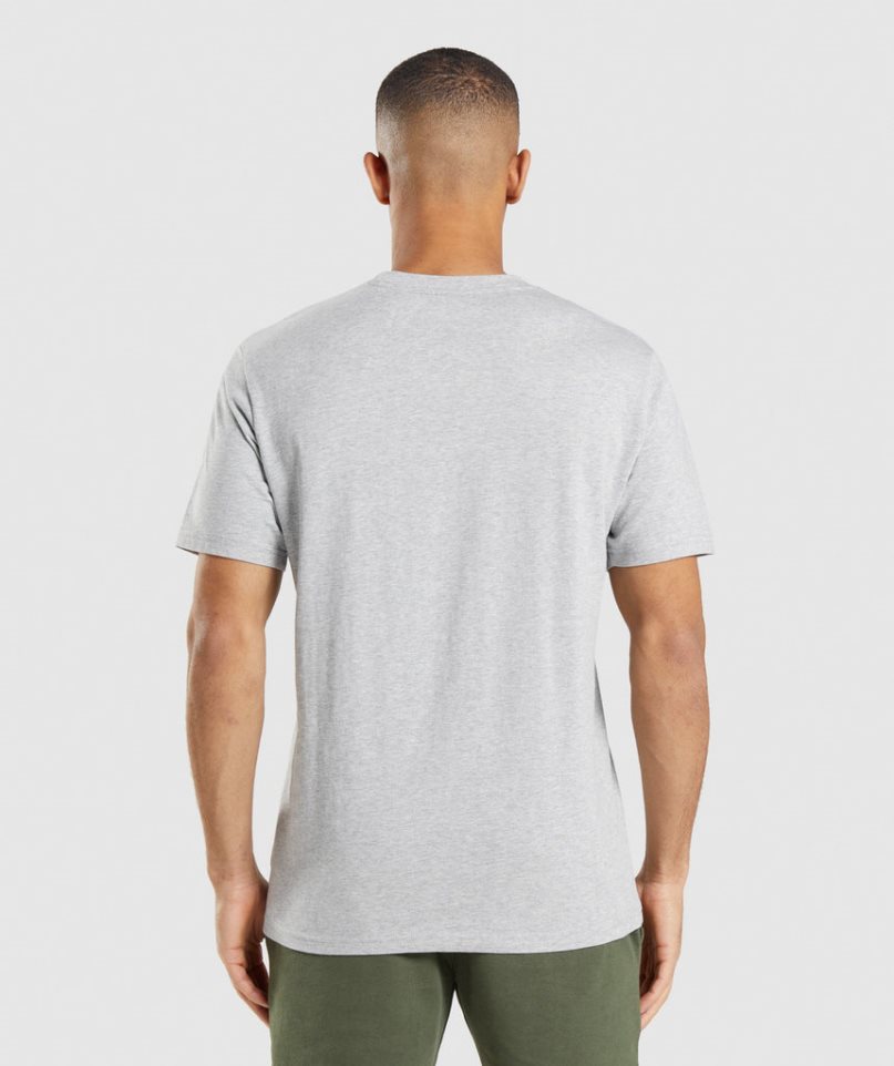 Men's Gymshark Crest T-Shirts Light Grey | NZ 6MDJNZ